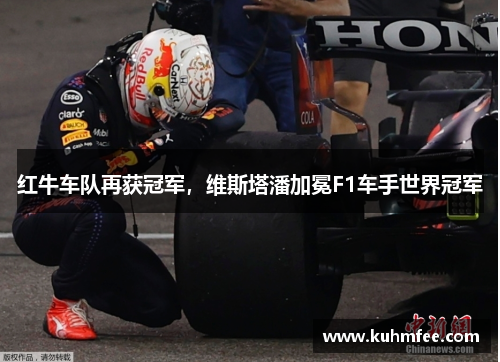 红牛车队再获冠军，维斯塔潘加冕F1车手世界冠军